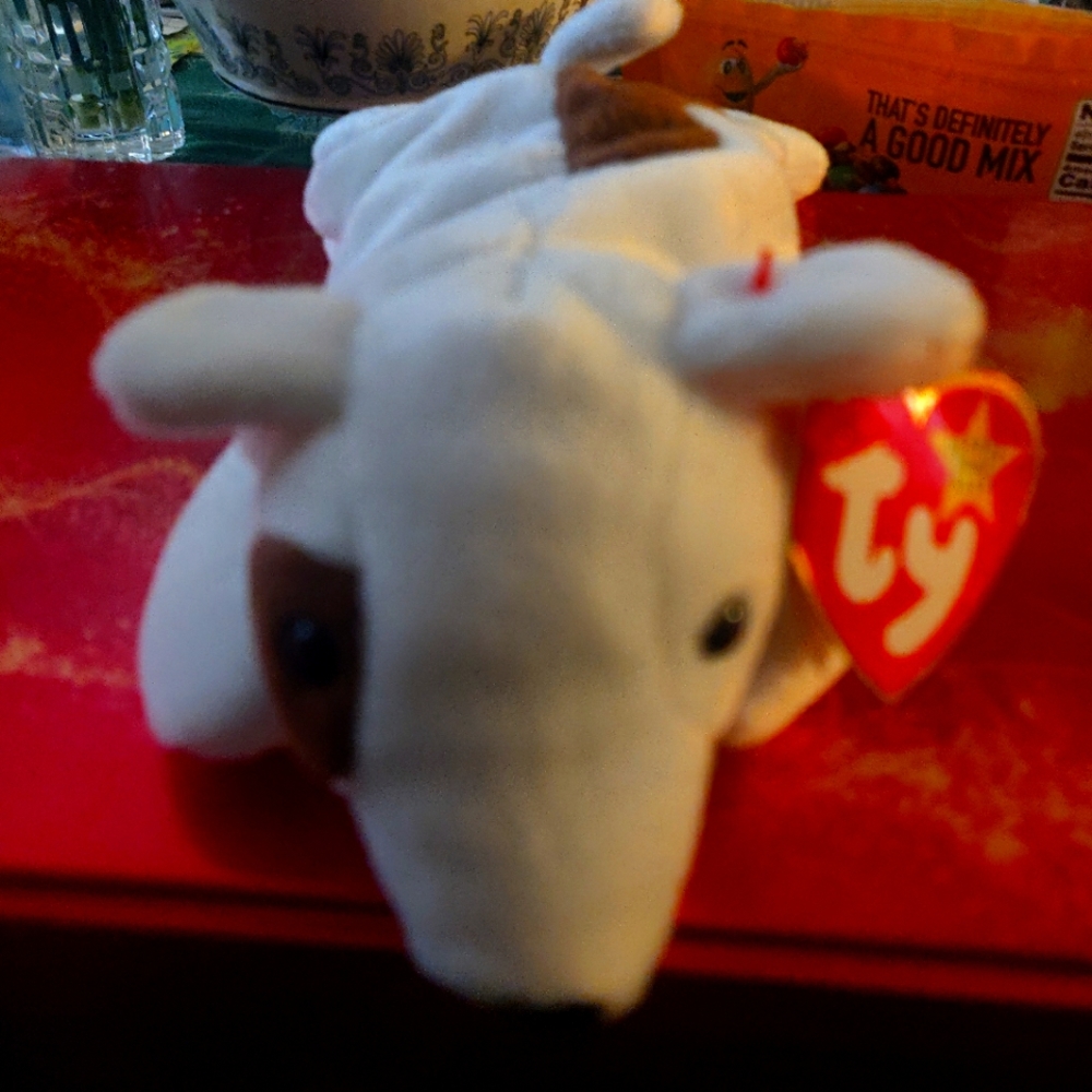 Beanie Babie 1998 Retired TAG ERRORS, Rare.